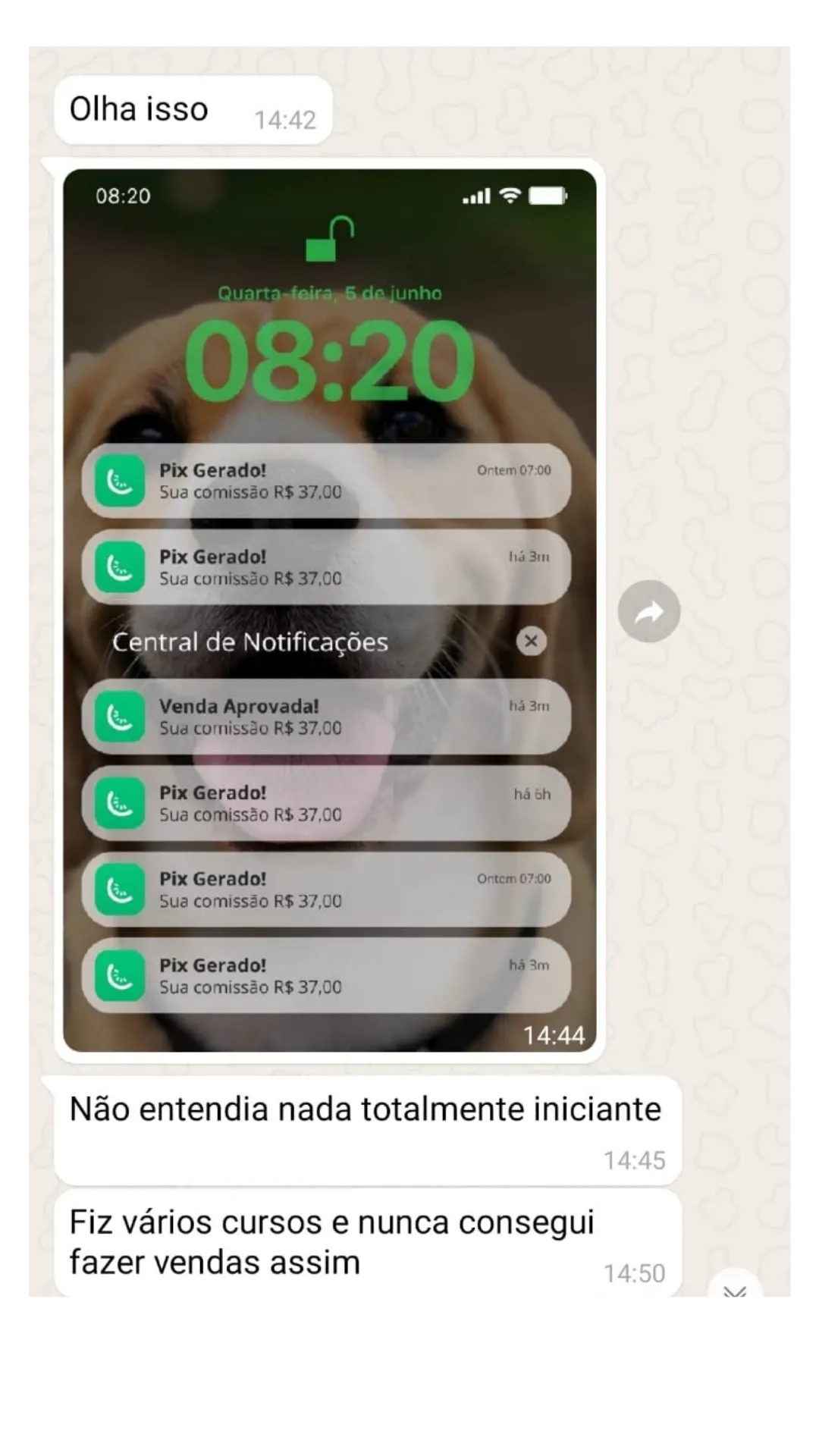Depoimento no WhatsApp: iniciante relata primeiras comissões de R$37